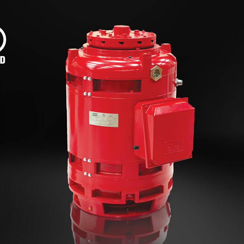 Vertical Hollow Shaft Motor